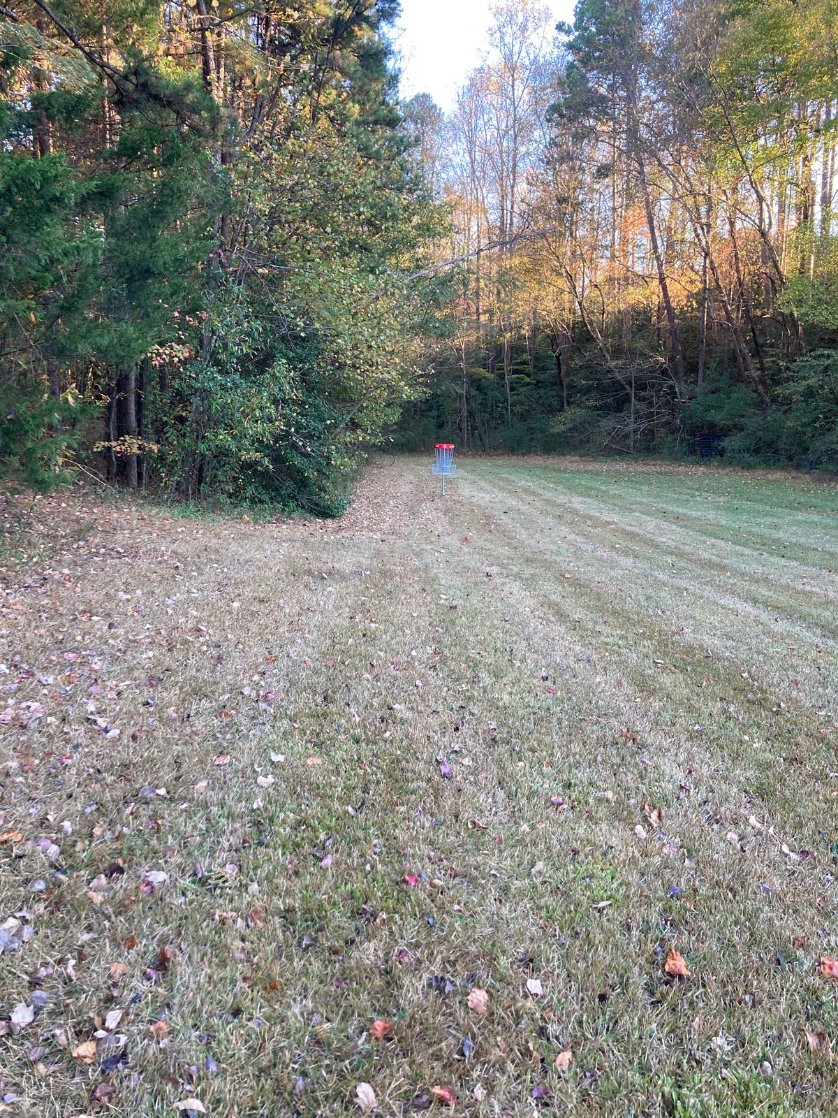 Hole 4.