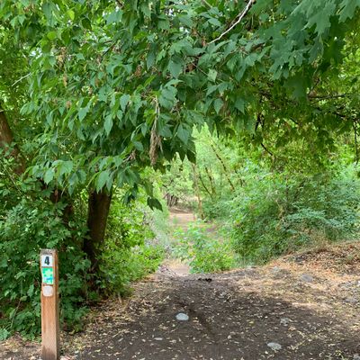 Hole 4 Tee Throwing Across the Creek