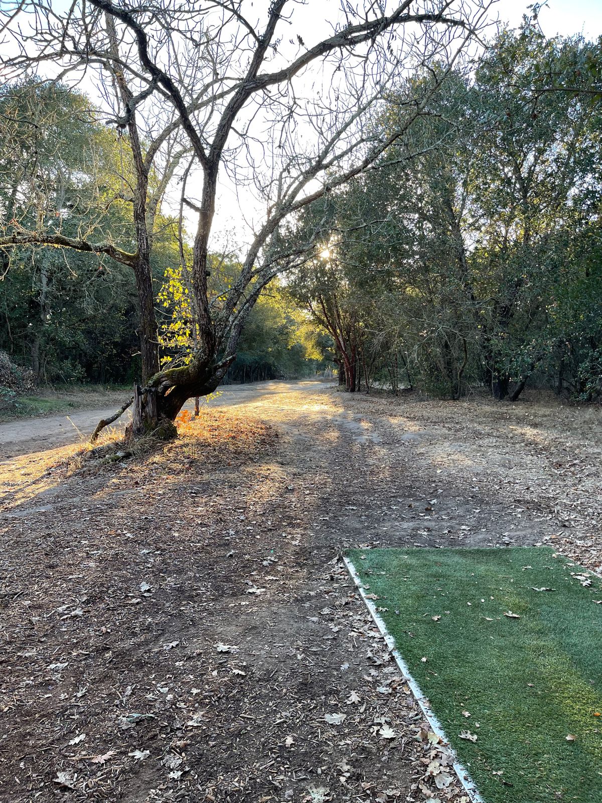 Hole 16