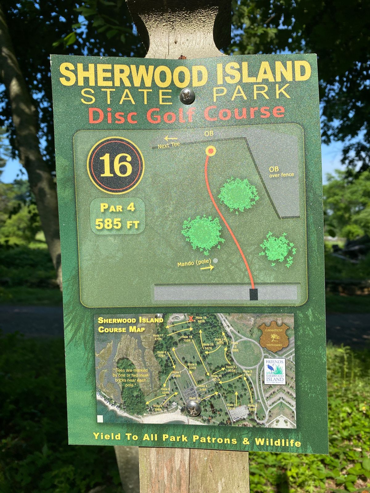 Original # 16 tee, out of play — basket has been removed.