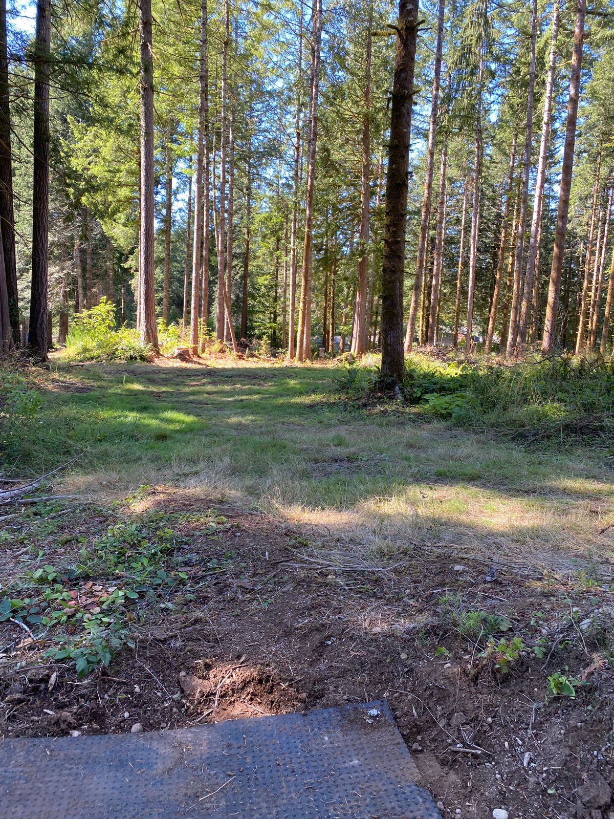 Hole 13 getting roughed-in. One of two woods holes on the course. (12 & 13)