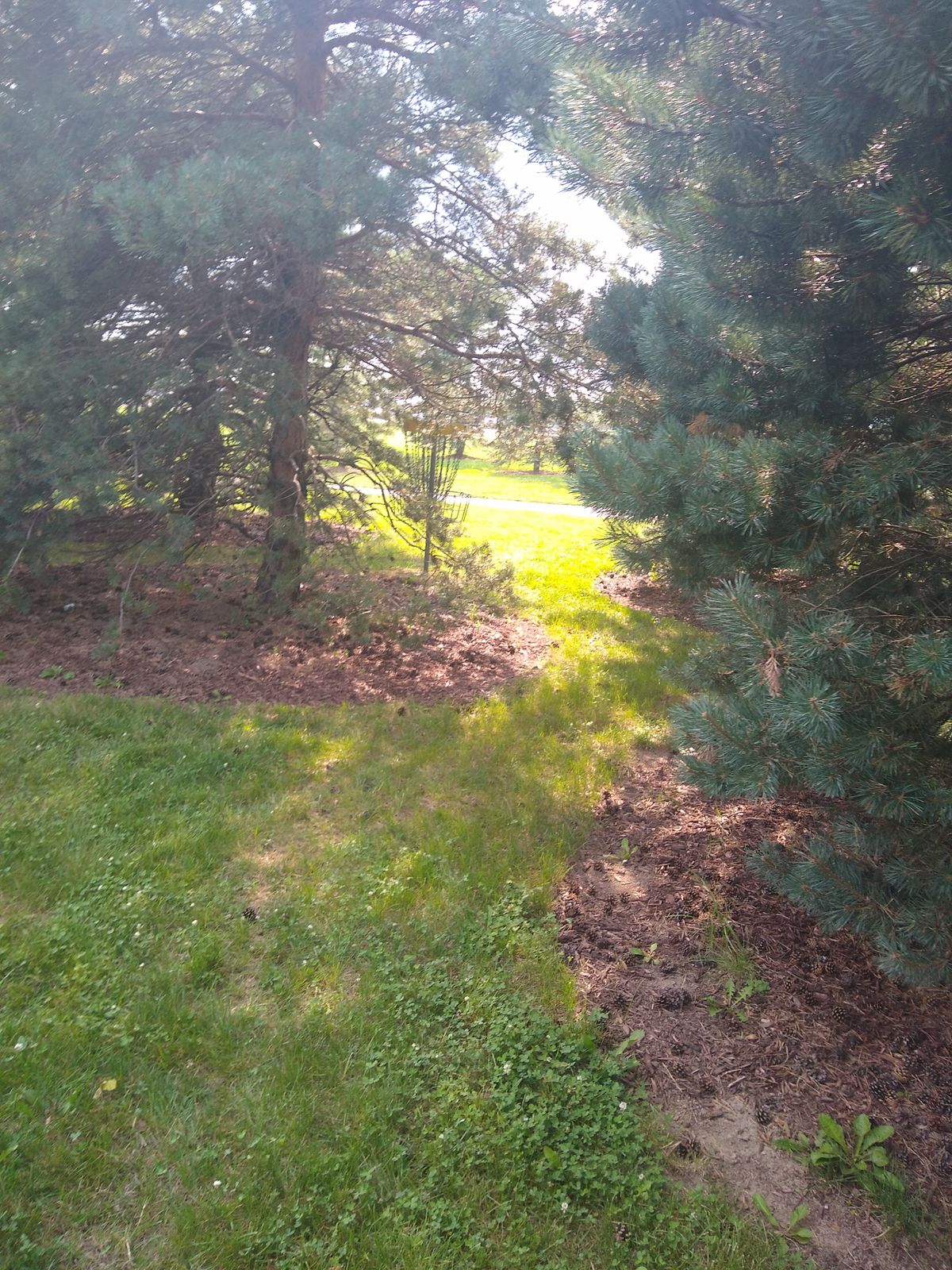 Hole 9 heavily guarded