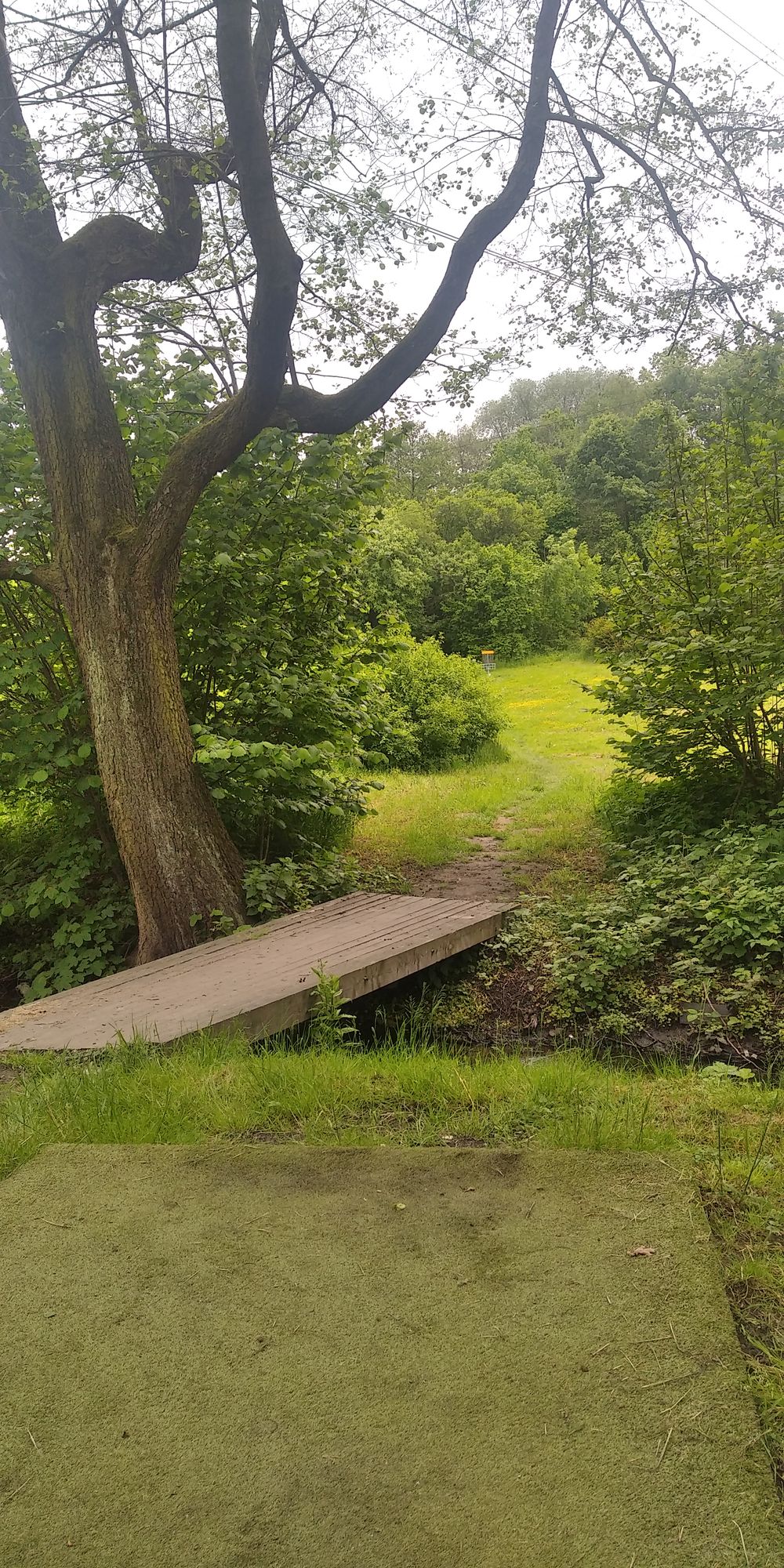 Hole no. 1