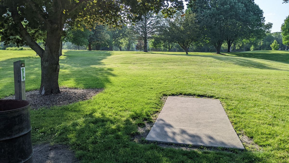 Tee #7