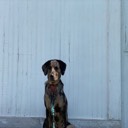 brooks4