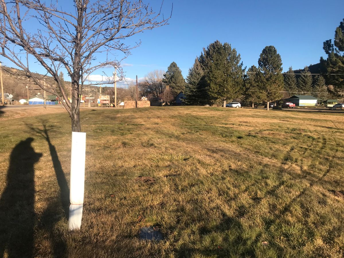 Second tee from small tree near victims memorial.