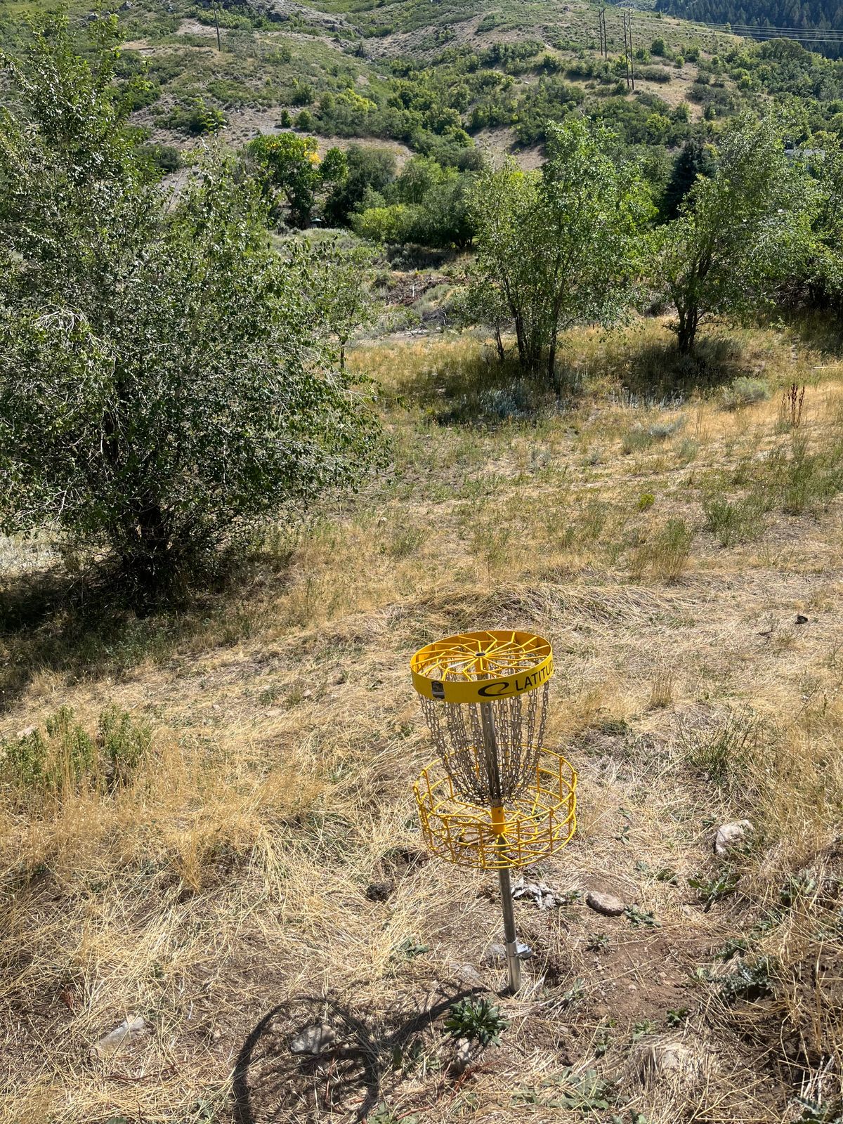 Hole 6 basket looking back at tees