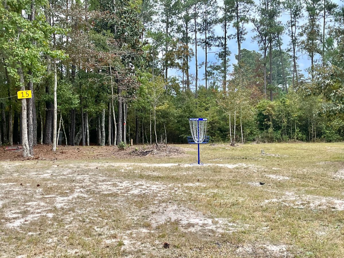 Hole 15 Basket