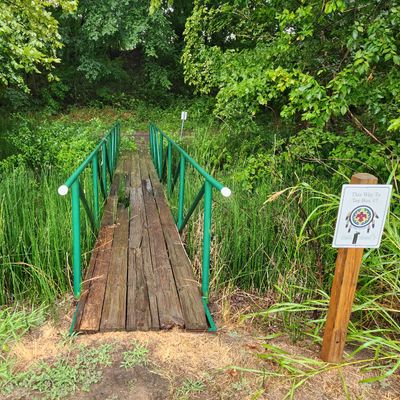 Bridge to Hole 7