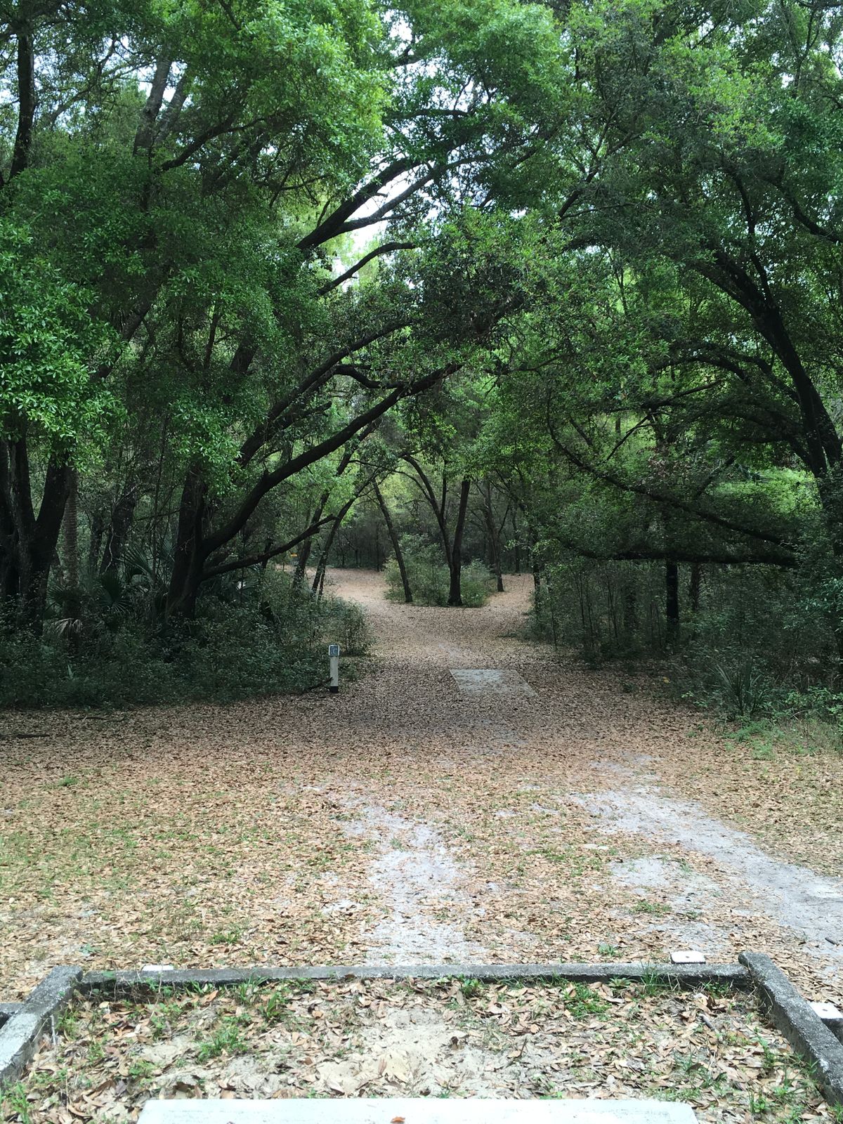 Hole 7