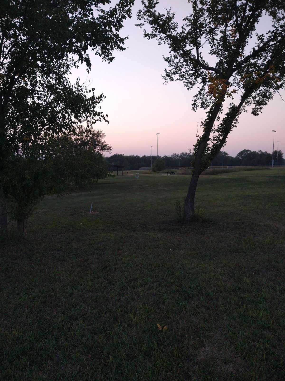 8th Basket is south of sidewalk and east of pavilion.