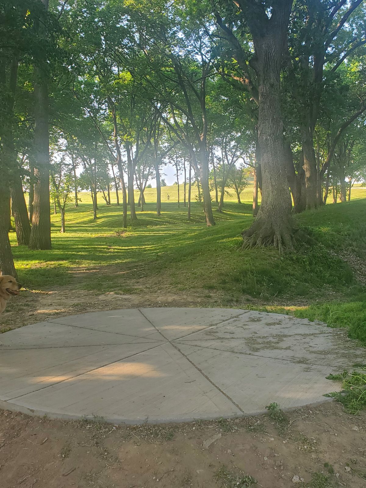 Hole 7 short tee