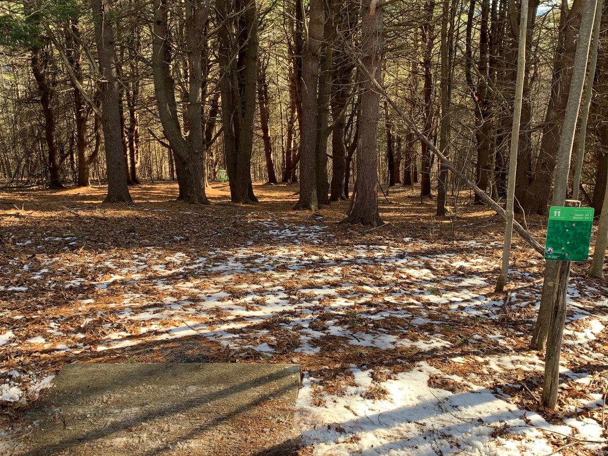 Hole 11 green to green