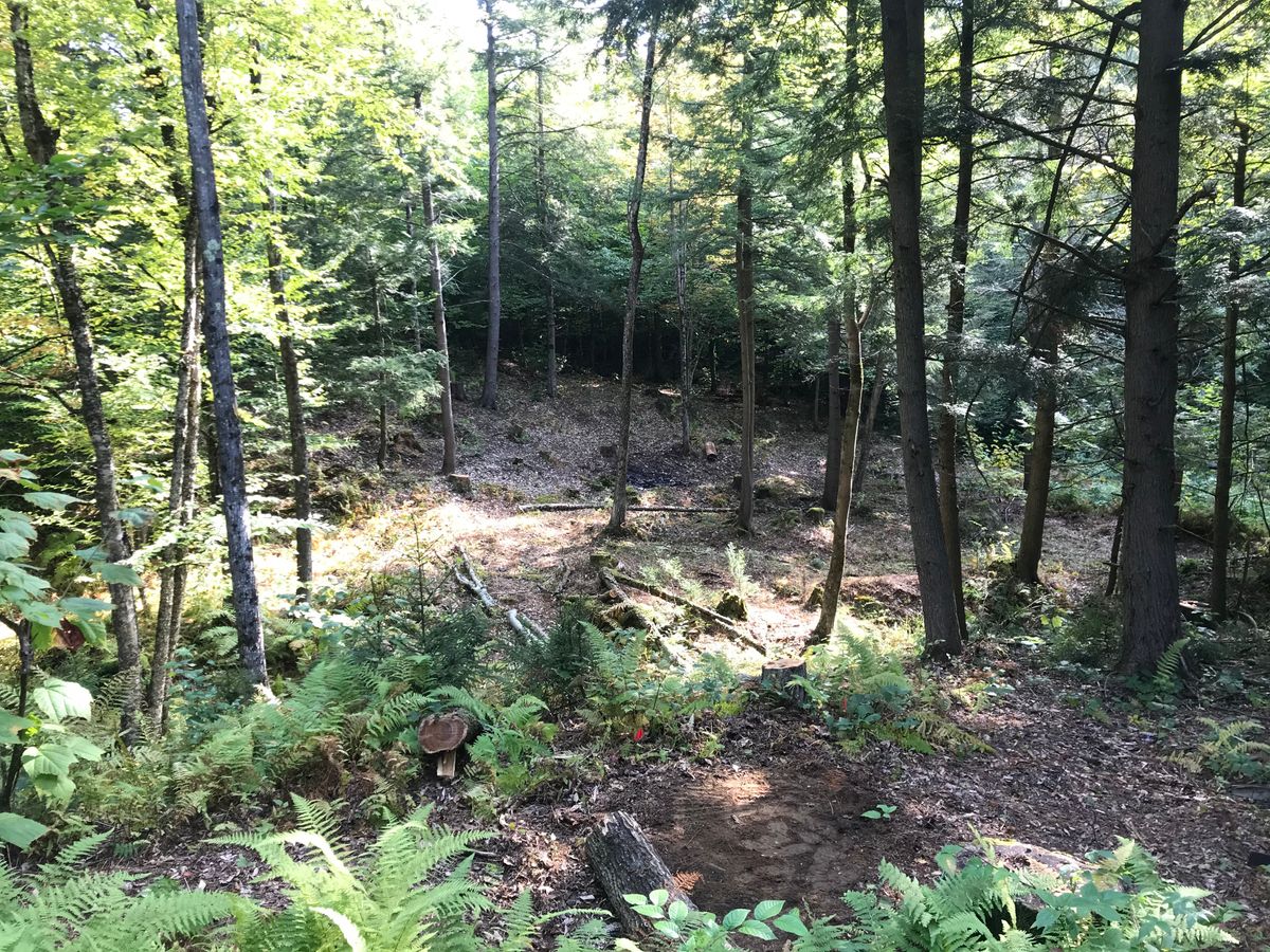 Hole 13 short tees