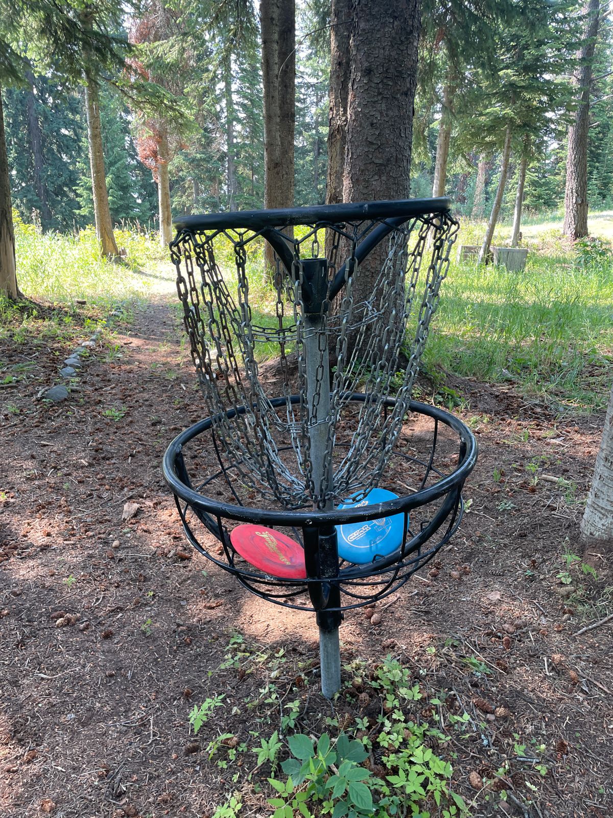 2nd basket