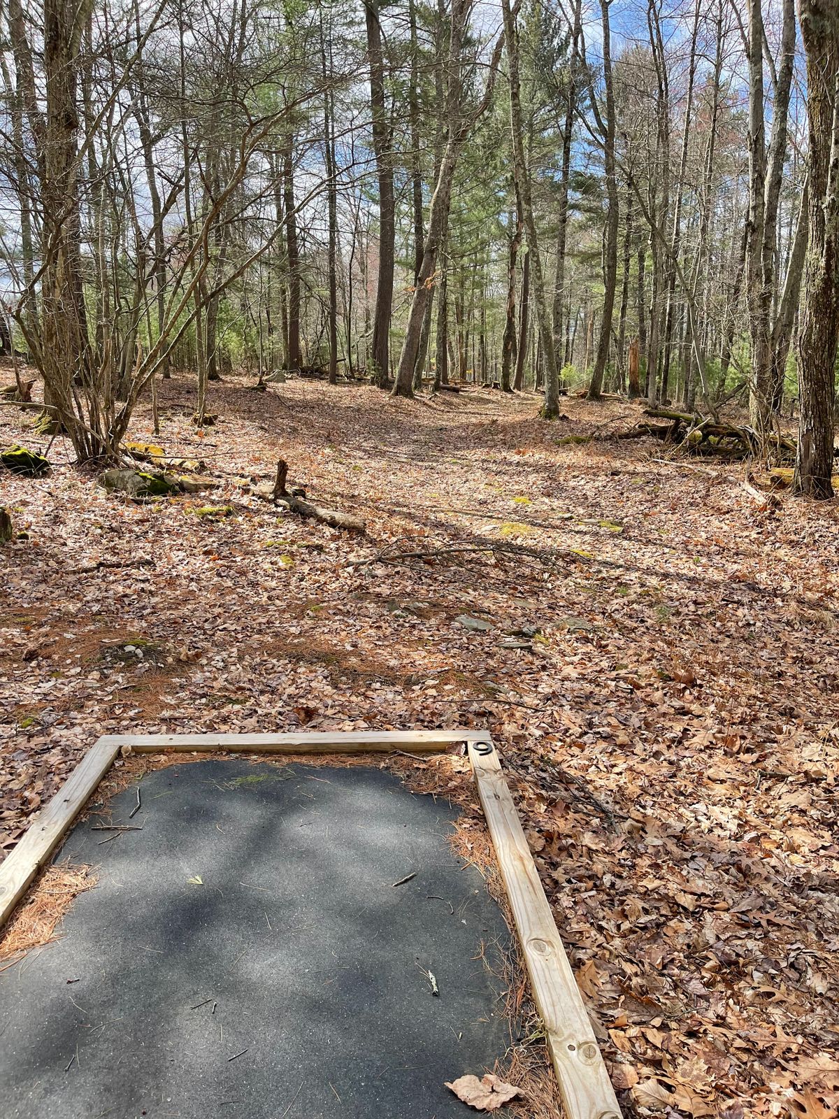 Hole 9