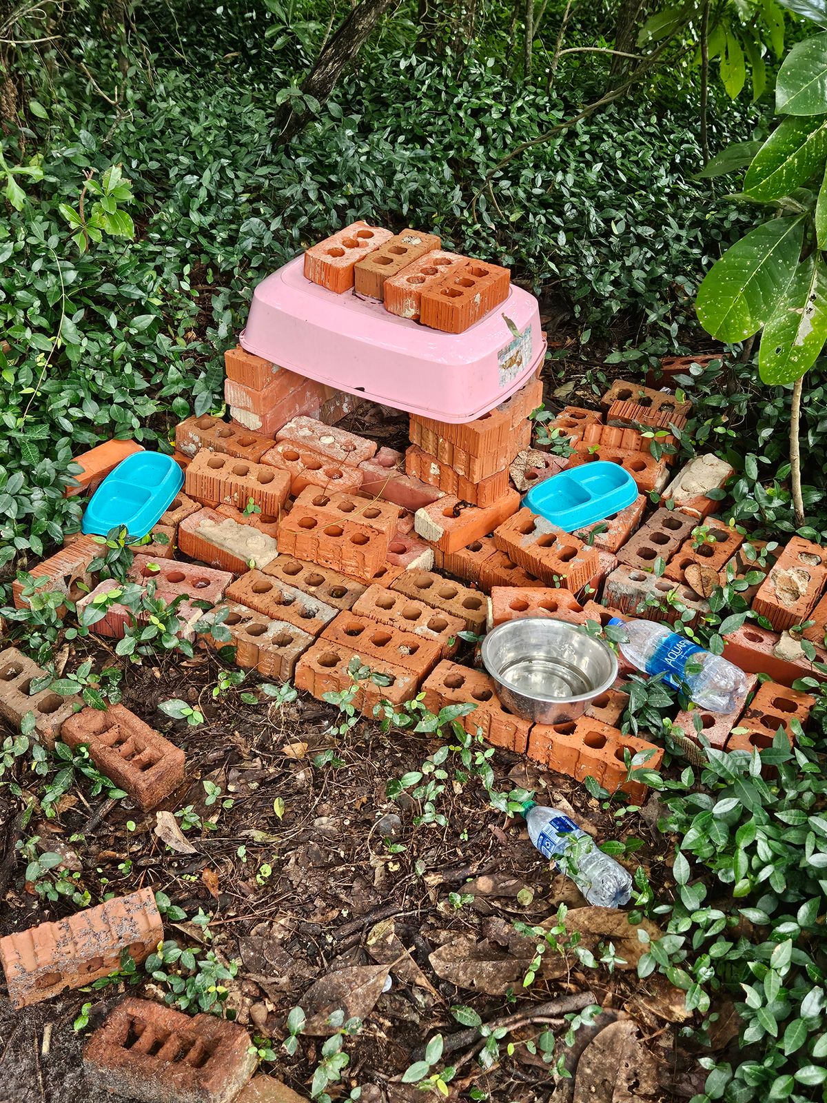 Cat house.