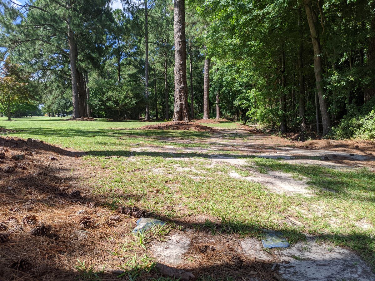 Hole 8 Tee Pad