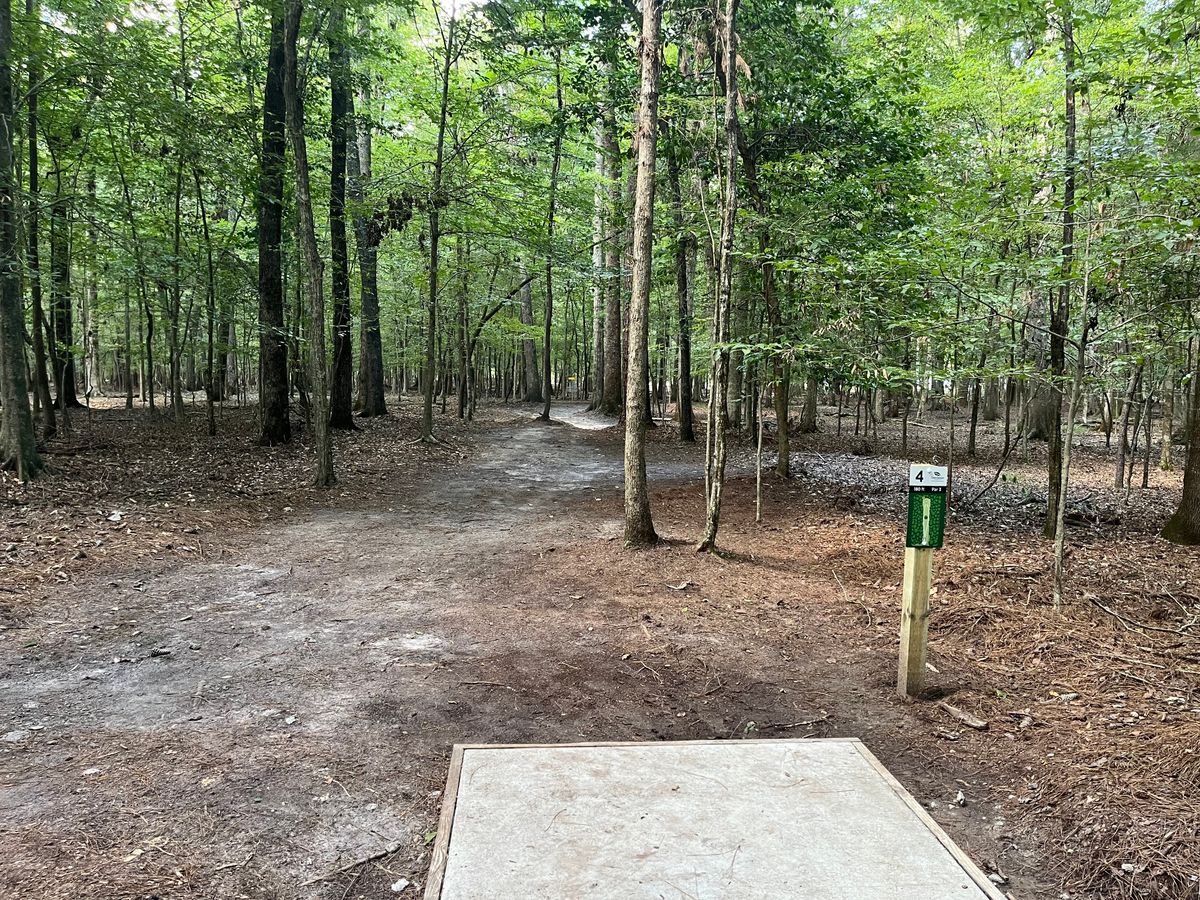 Hole 4