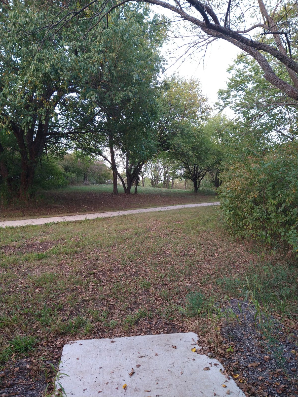 7th Tee Pad, doglegs to the right.