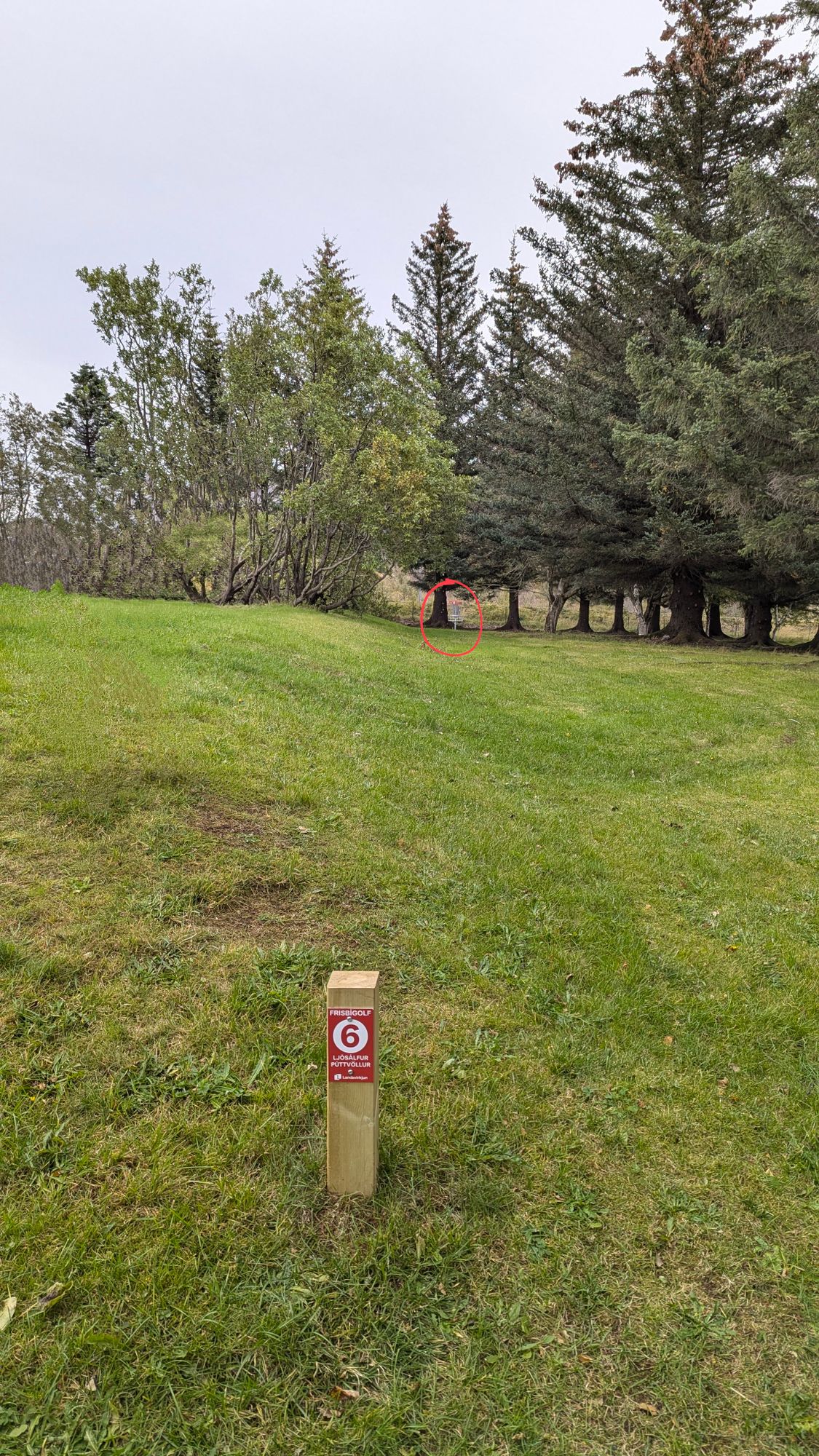 9-hole course, hole #6