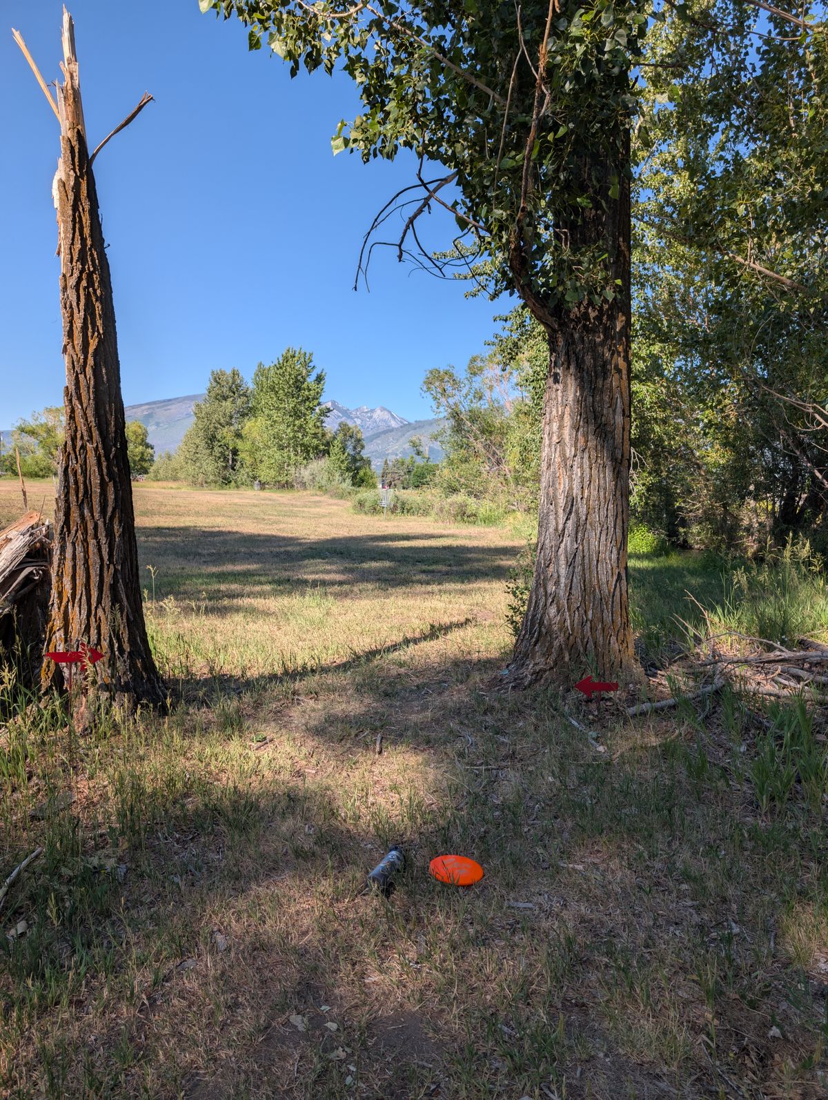 Mando in between the trees at basket 3