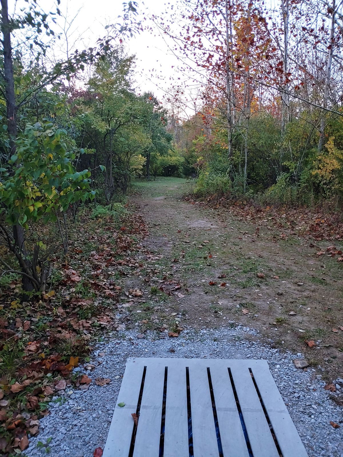 Hole 9