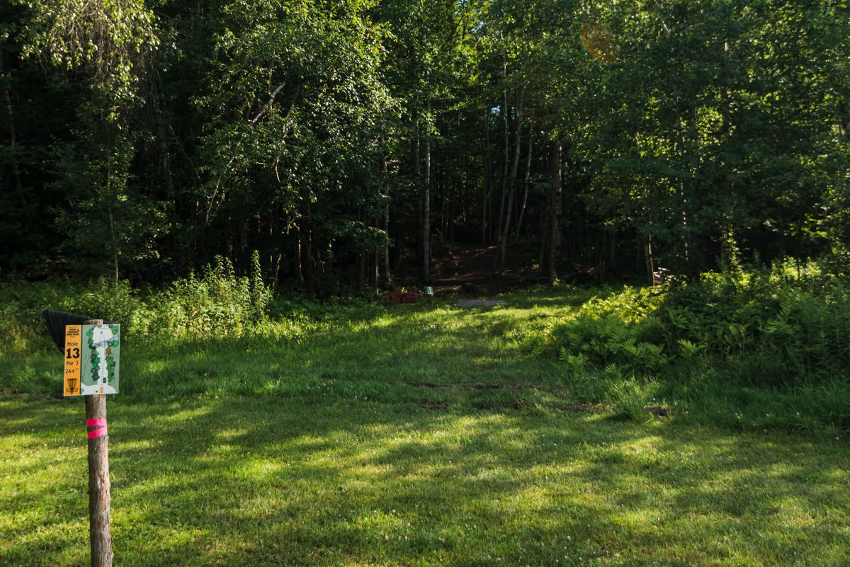 Hole 13 gold tee
