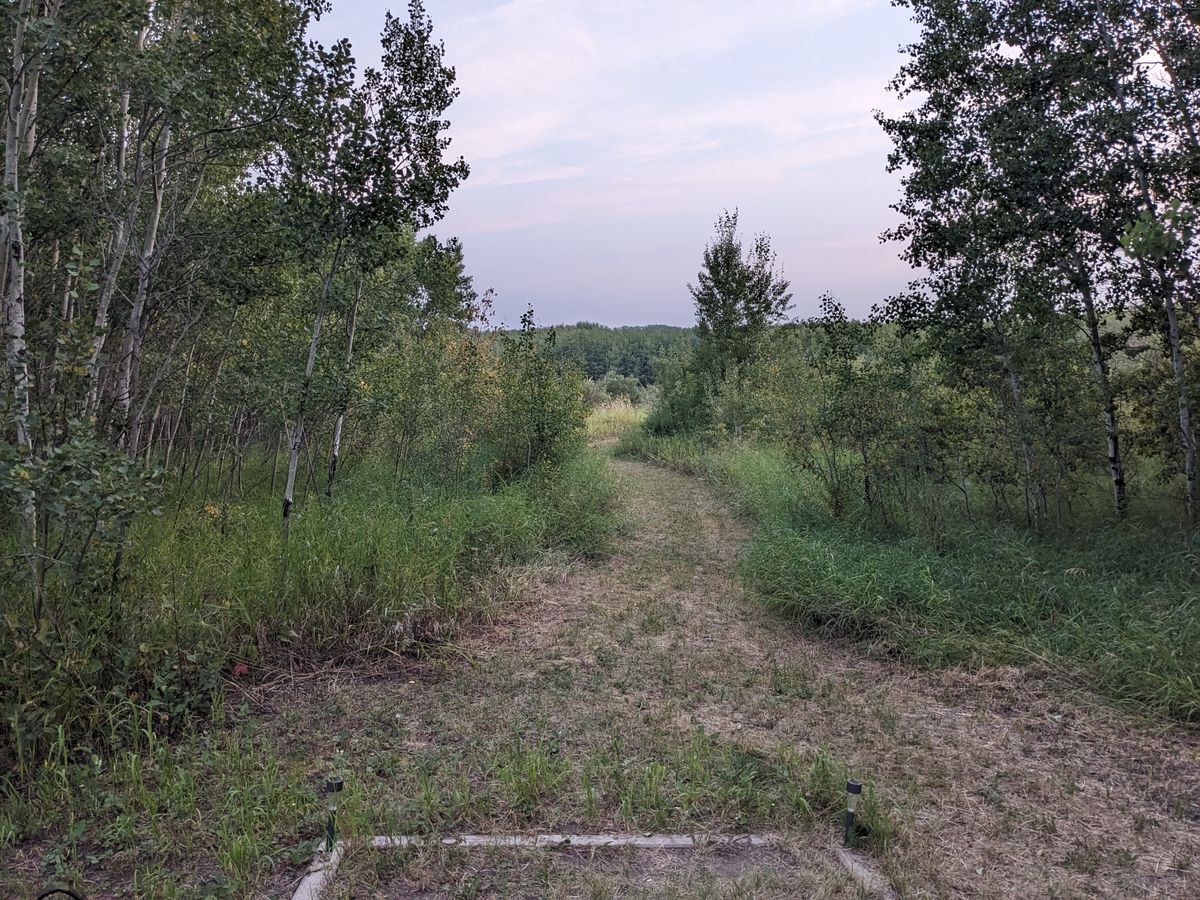 Hole 10, basket slightly left