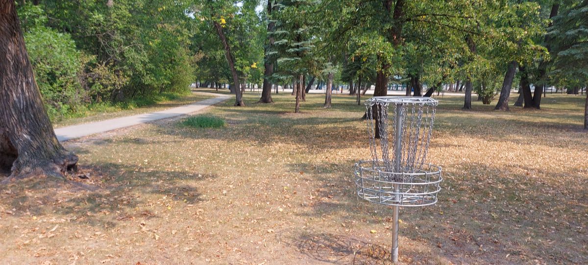 Reverse back up the fairway on hole 2🍁🍂🍁🍂🍁