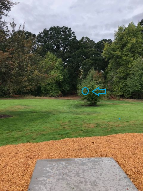 Hole 2 basket location