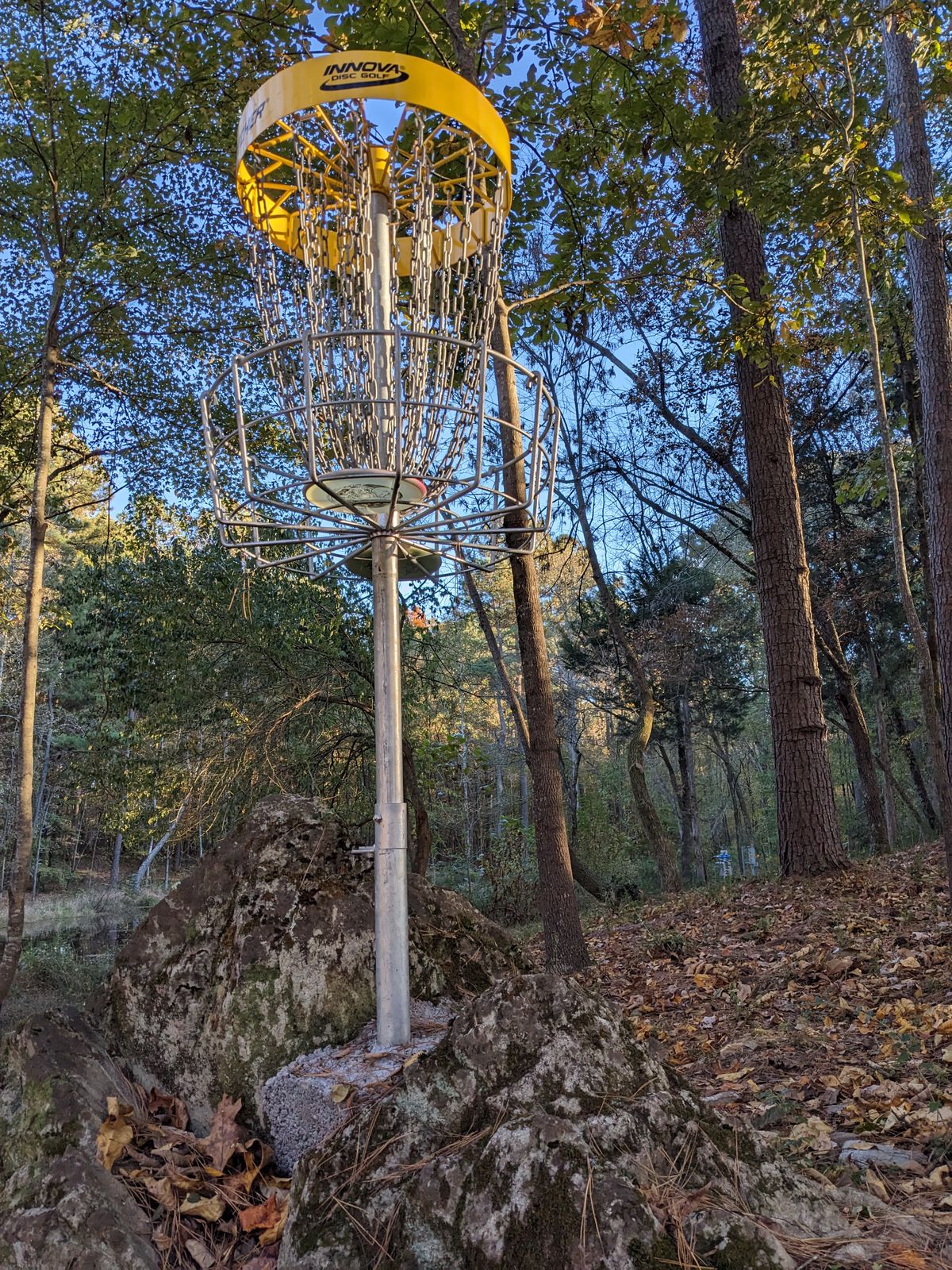 Hole 11 basket