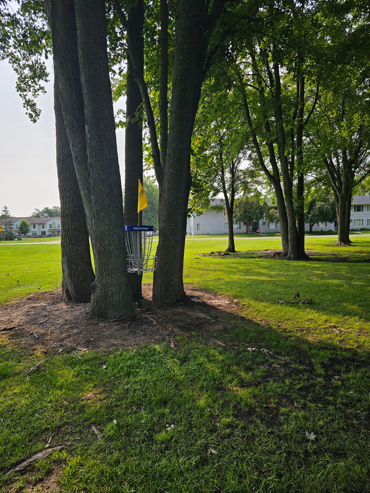 Hole 3 basket to tee. One of the most unique basket locations i've ever seen.