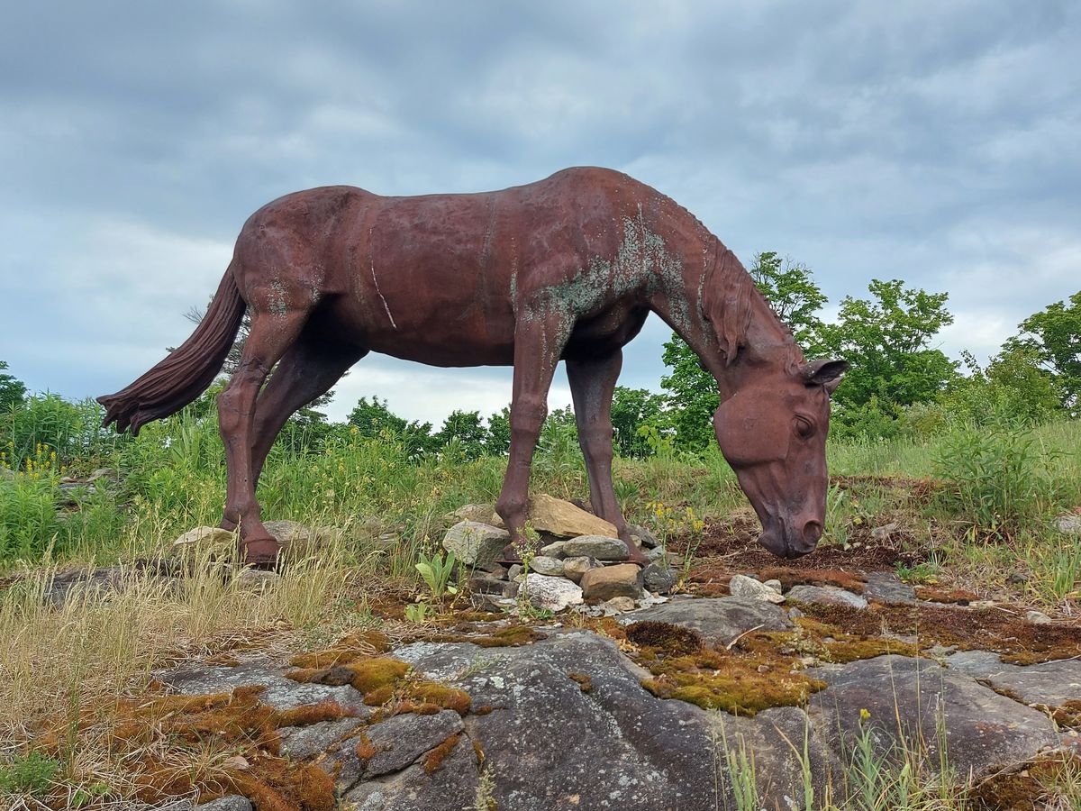 🐎🐎🐎🐎🐎 👌👍👌👍👌👍well done nice piece of sculpture.  At tee pad 8.