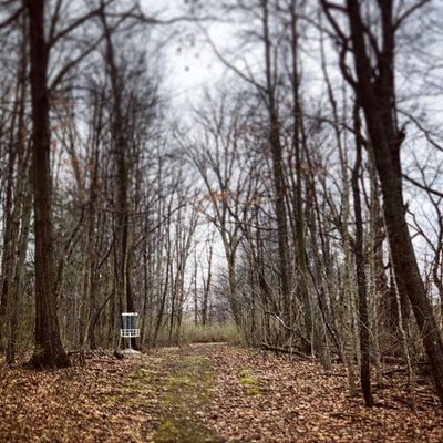 This hole in the woods is a little more open than most.