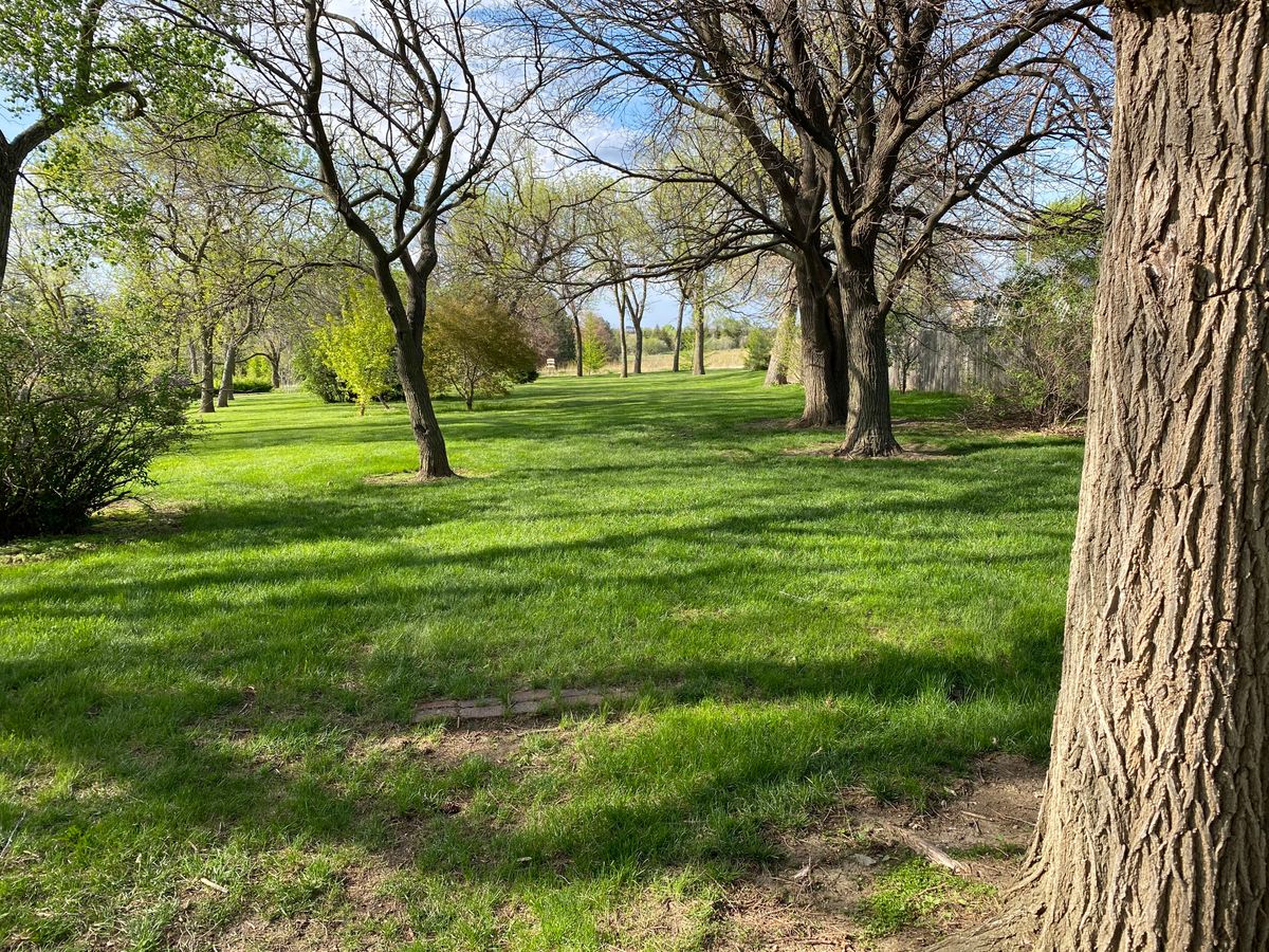 Hole one, basket on right.