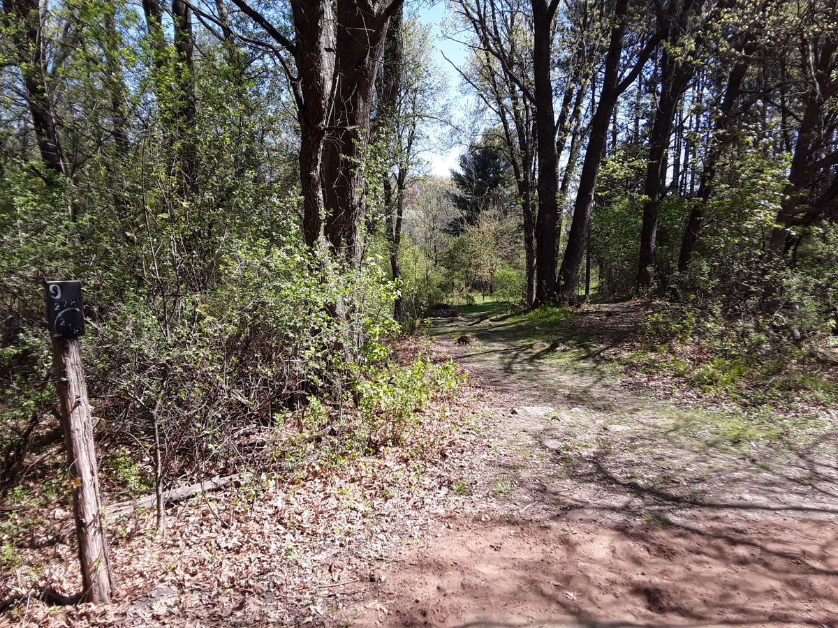 Hole #9 from tee
