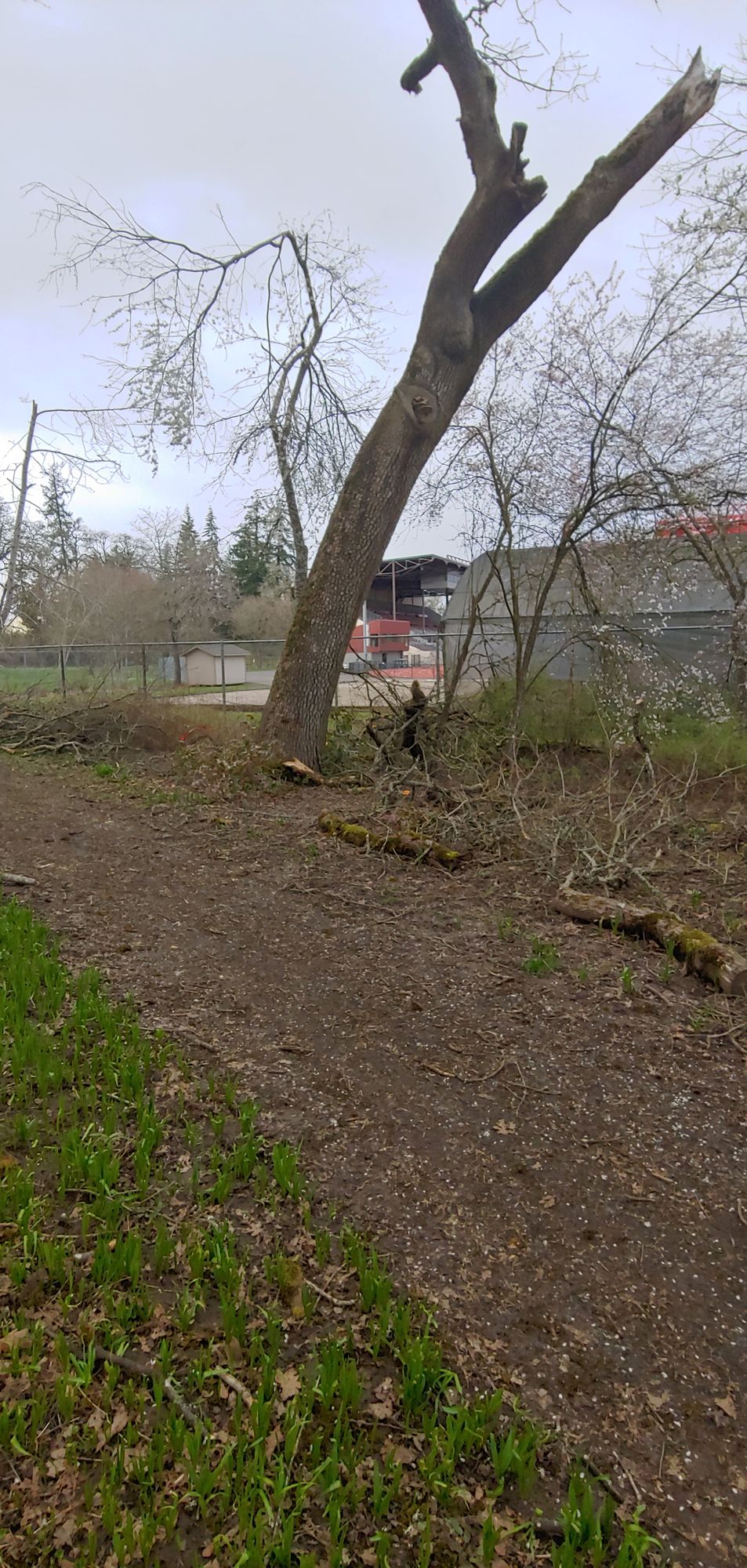 Hole 7