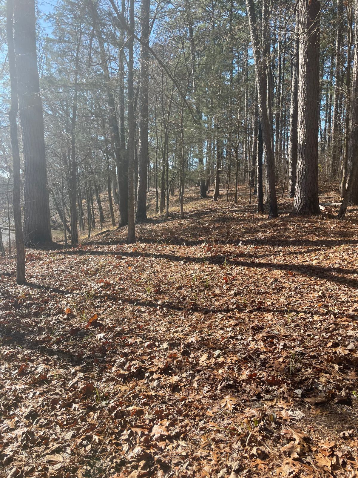 Hole 6
