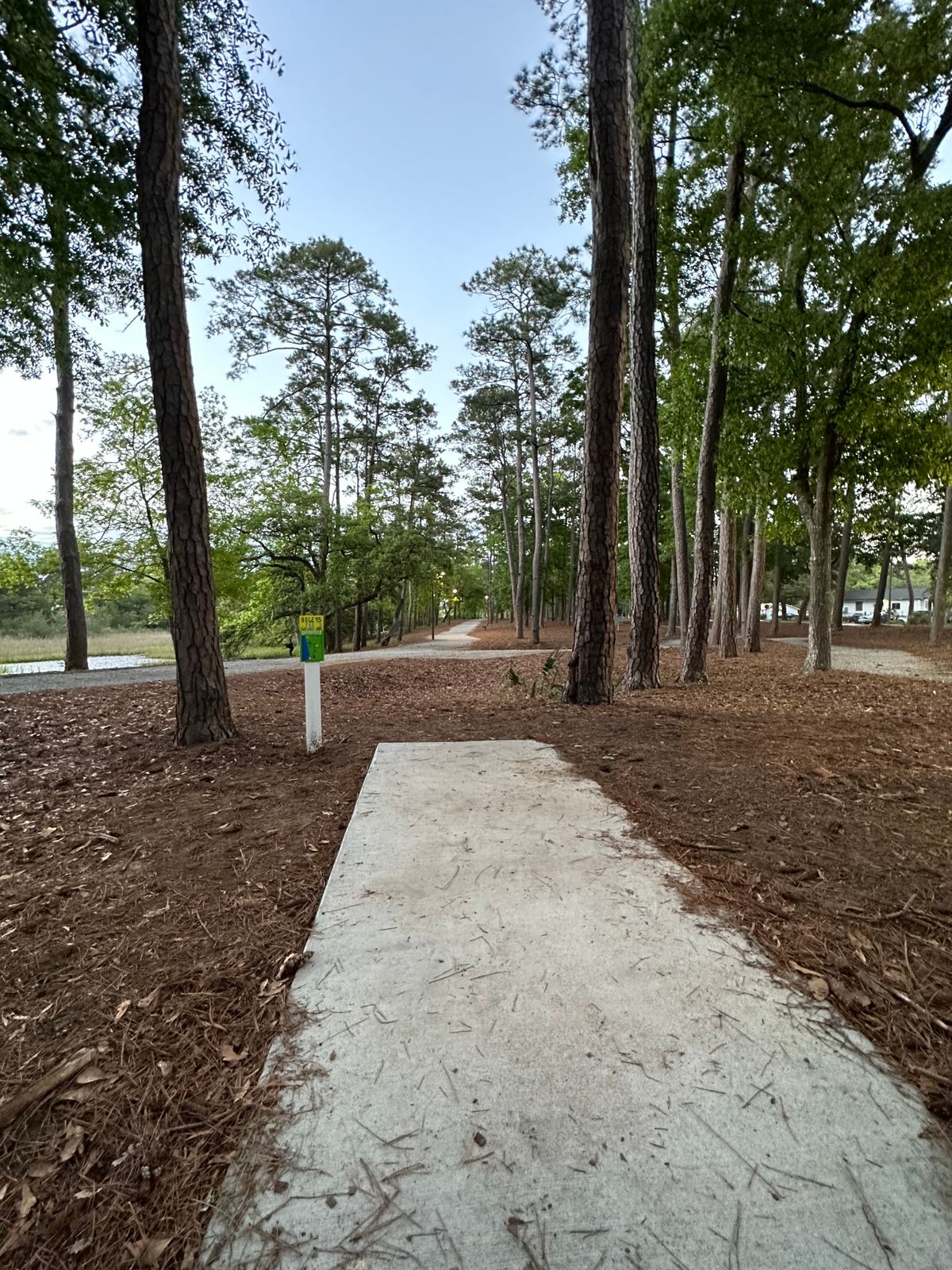 15 tee pad