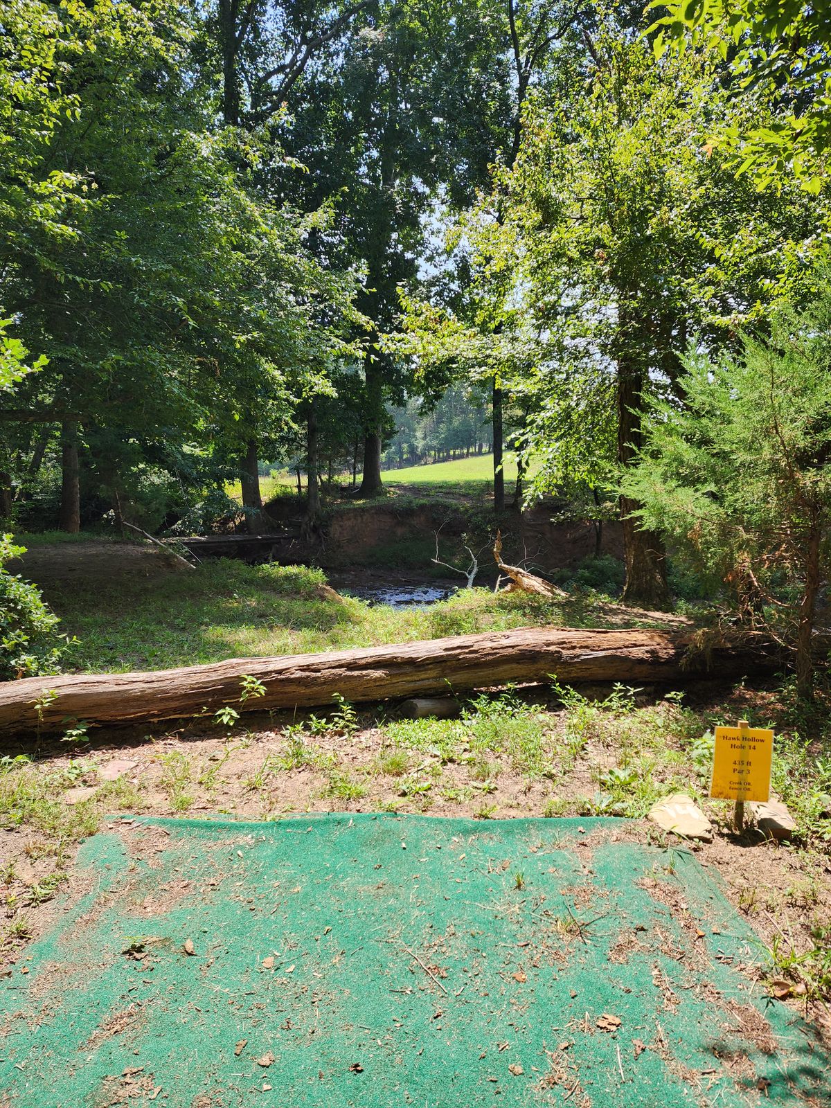 Hole 14