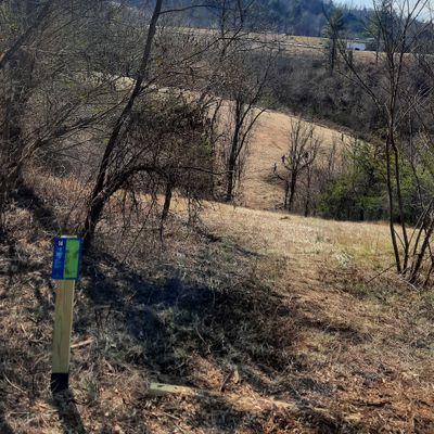 Bomb it. Hole 14.