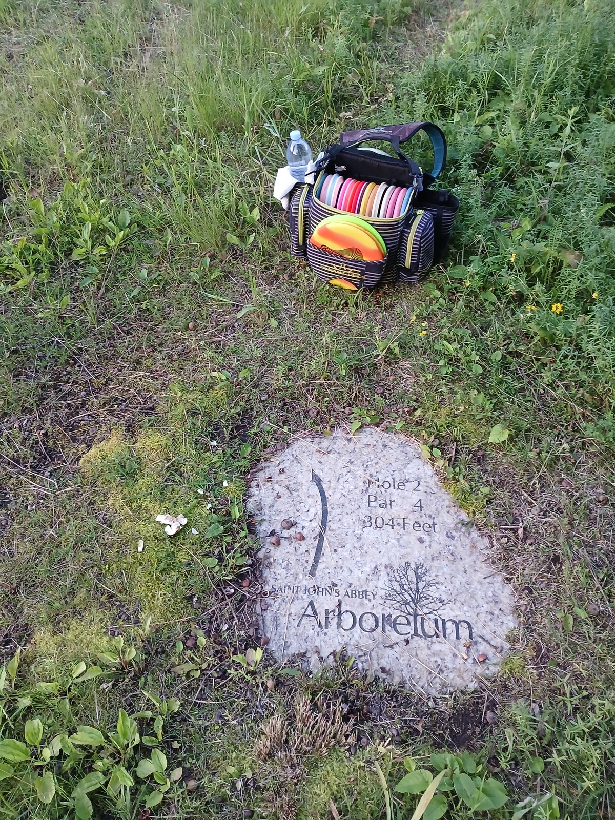 Beautiful markers suggesting tee-off zone.