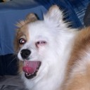 User avatar image