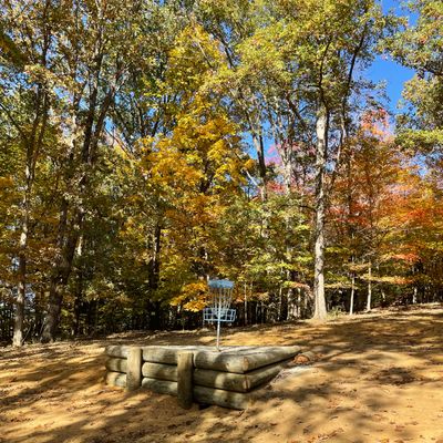 Hole 18 was recently upgraded by Troop 181. 
 Eagle Scout Project.