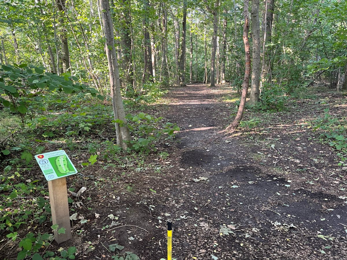 Hole 5