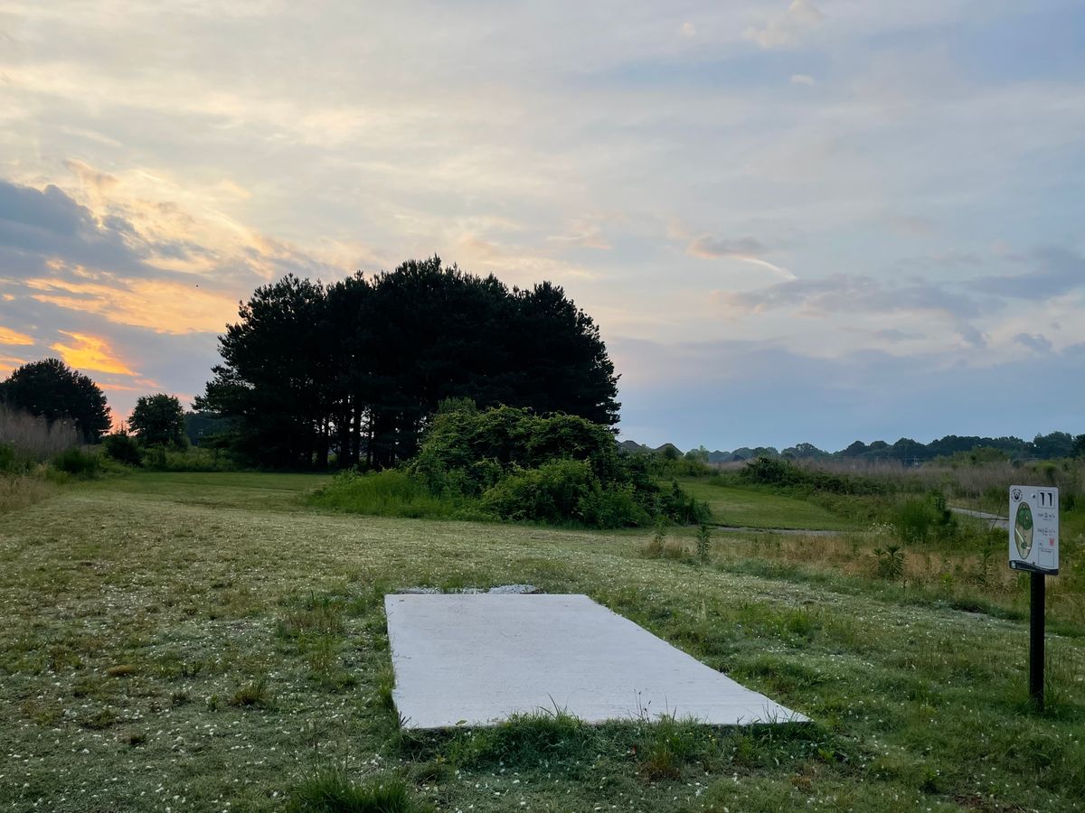 Hole 11
