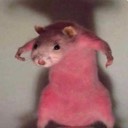 User avatar image