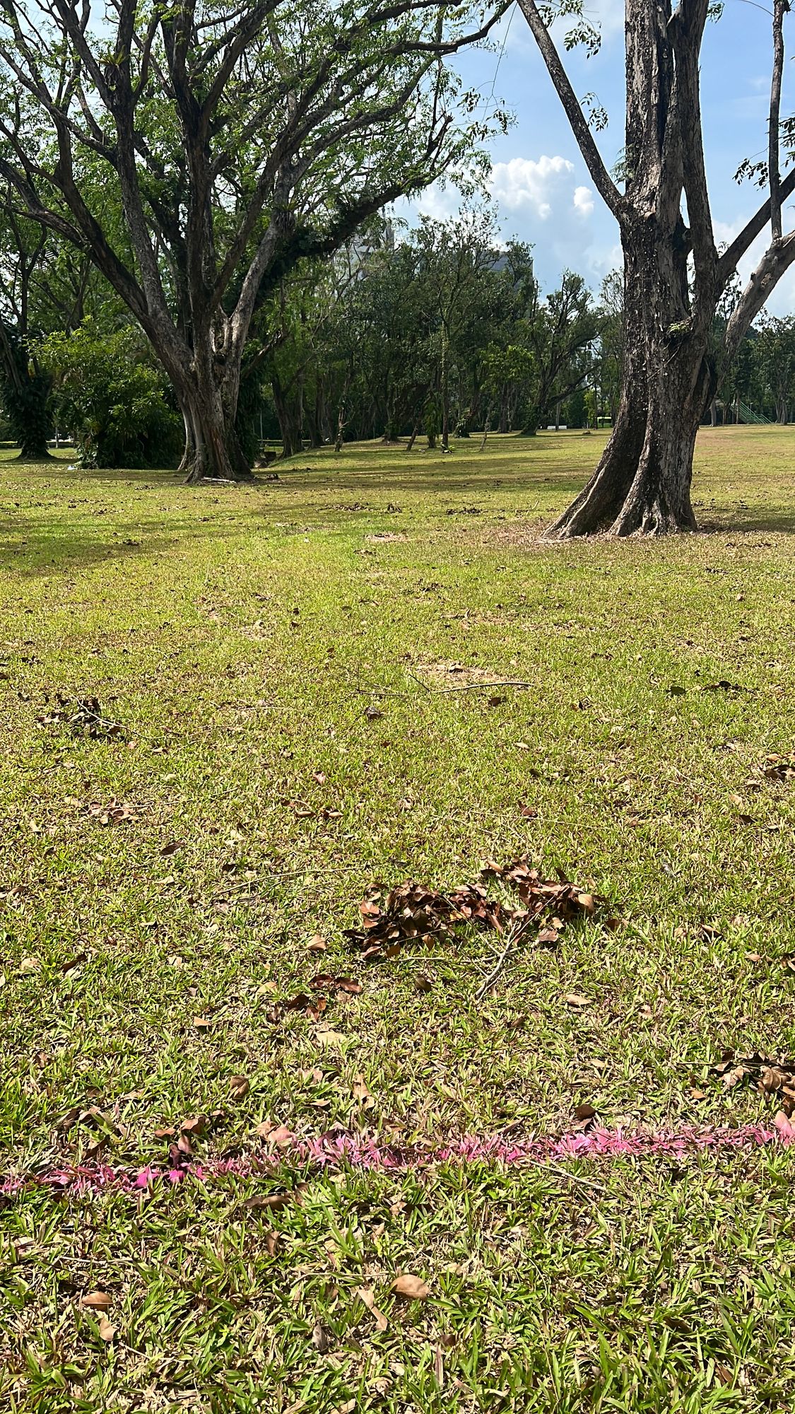 Teepad for a par 4 hole.  Dutch is OB on the left.
