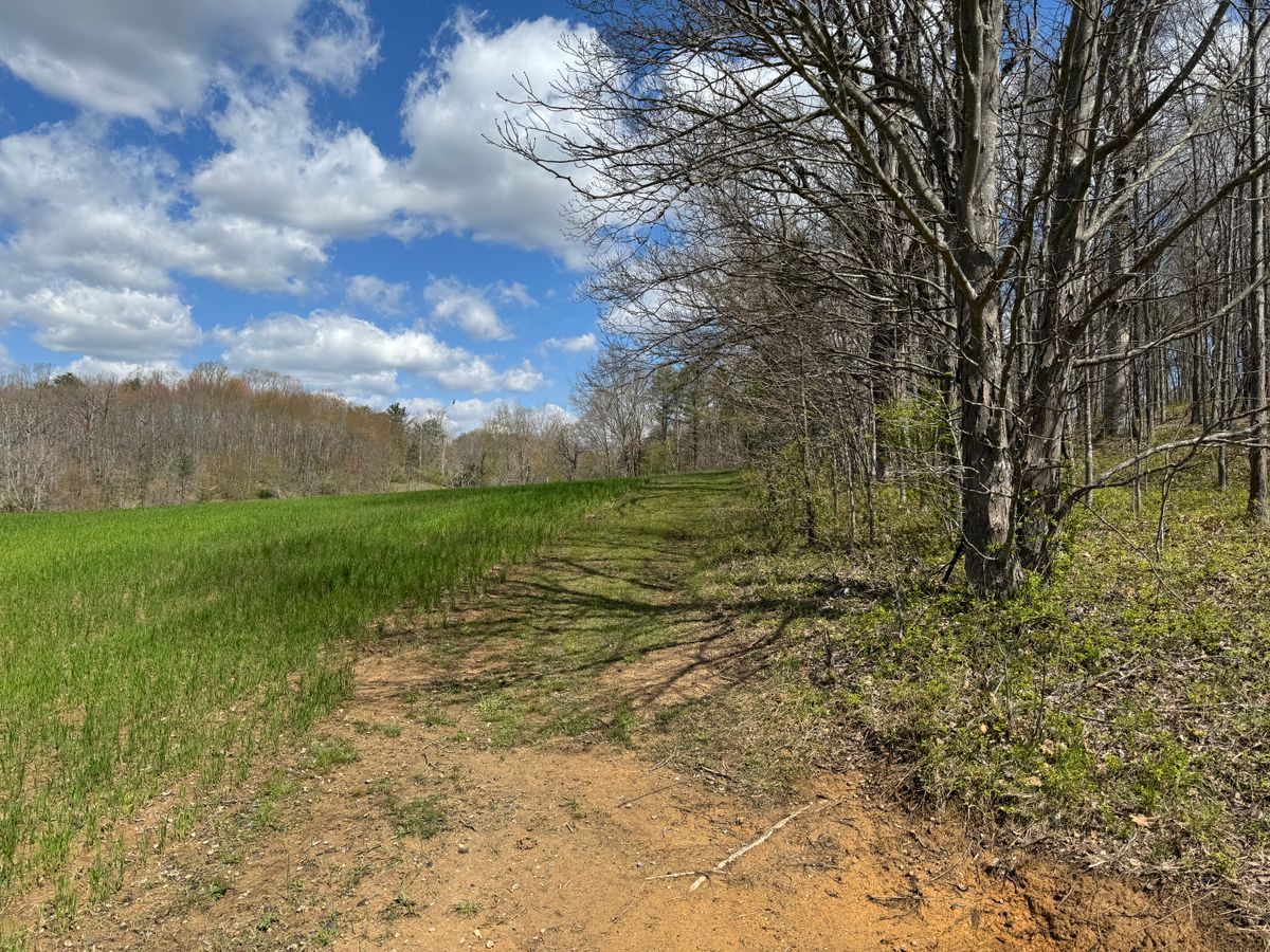 Hole 4 Tee